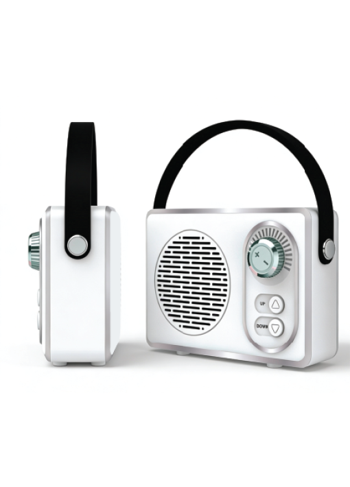 רמקול אלחוטי נייד בסגנון רטרו 5W עוצמתי