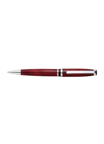 AP1029B