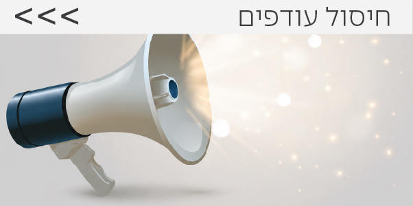 חיסול עודפים